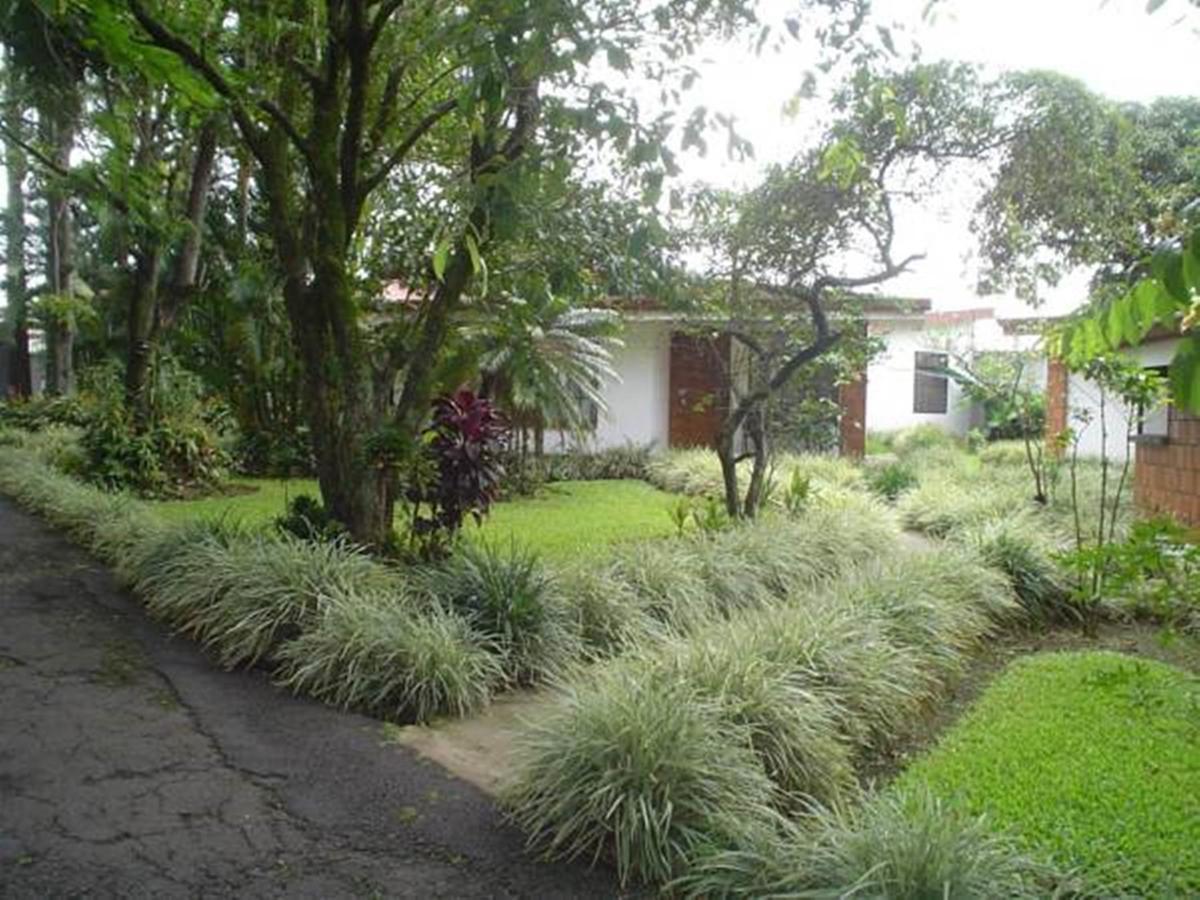 Hotel Villas Colibri Las Ciruelas  ภายนอก รูปภาพ